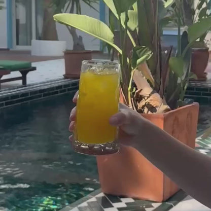 Biopi | Sugarcane Straw